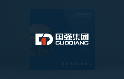 国强集团企业画册