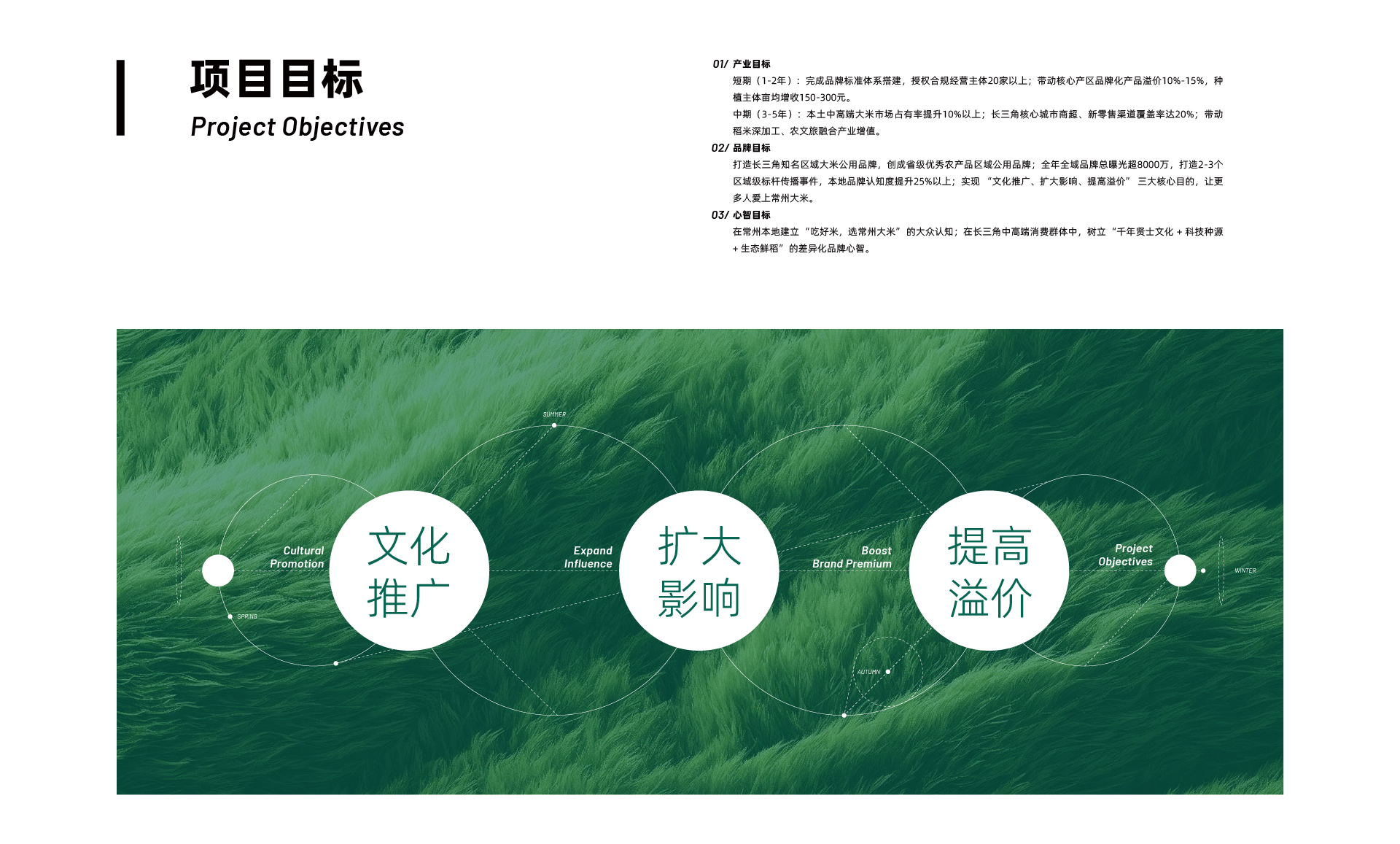 常州大米_05.jpg